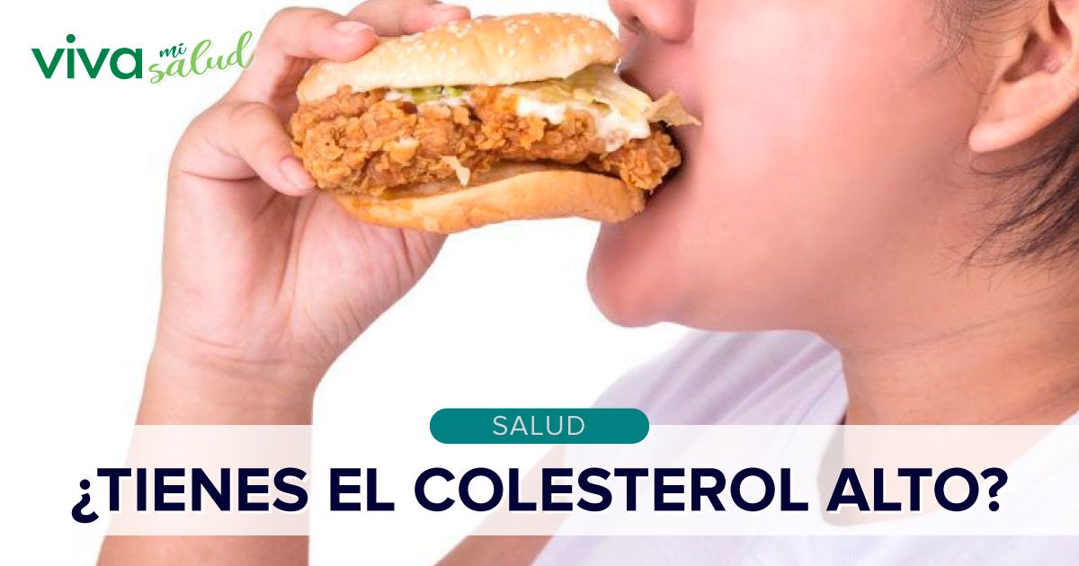 Colesterol Alto Todo Lo Que Necesitas Saber