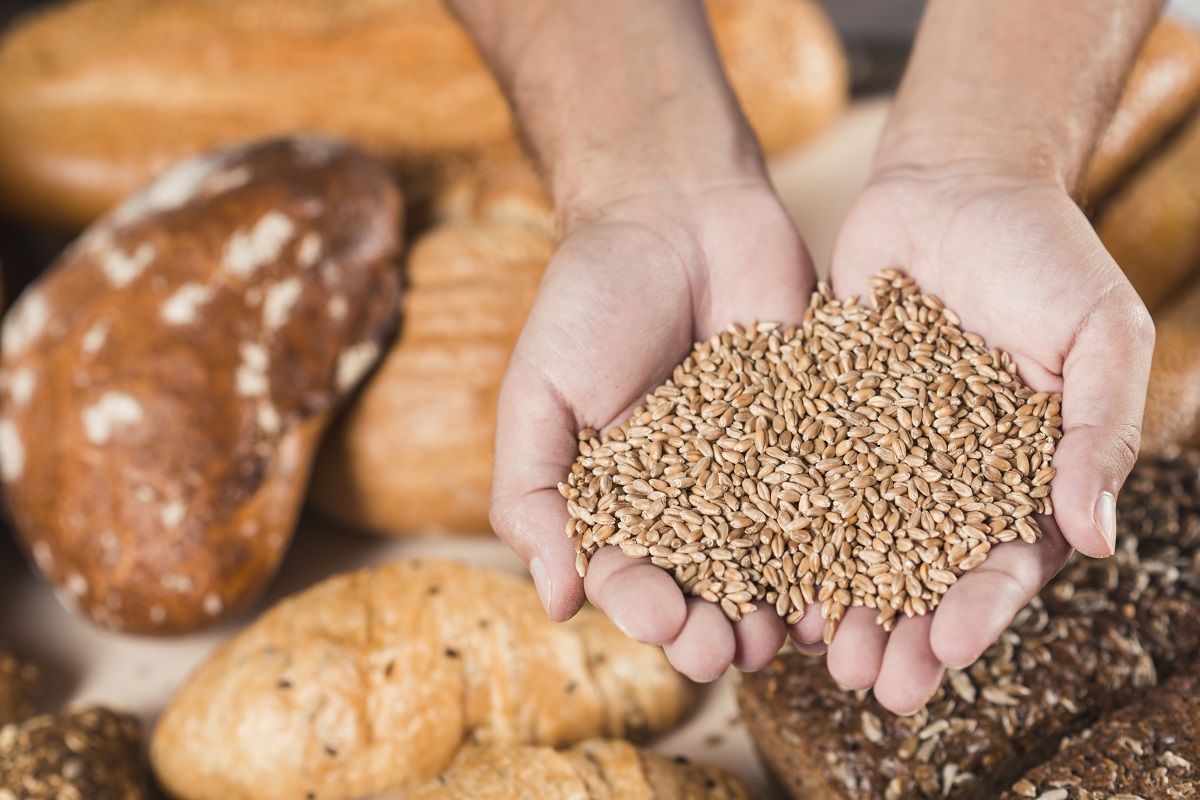 Celiaquía: cuando tu cuerpo rechaza el gluten