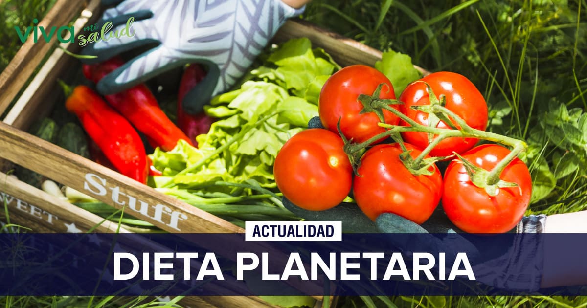 Científicos Crean La Dieta Planetaria: ¿en Qué Consiste?