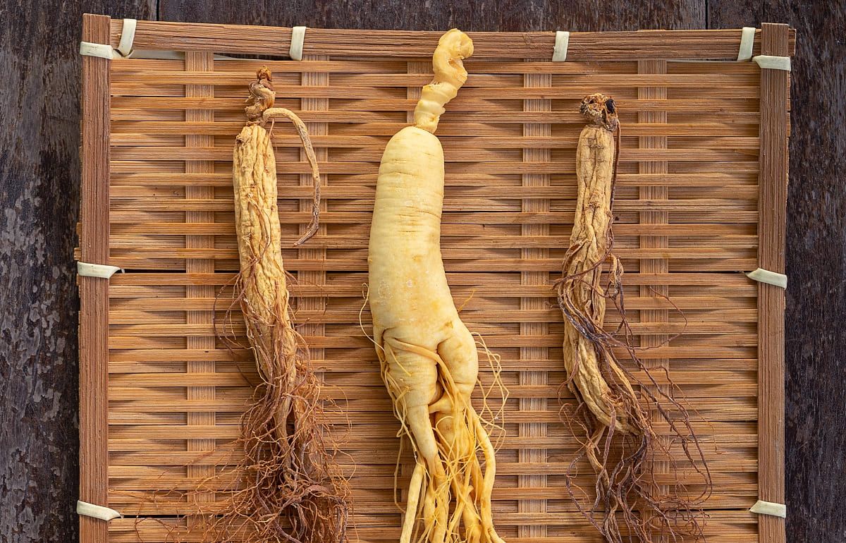 Ginseng: una planta oriental con poderosos beneficios