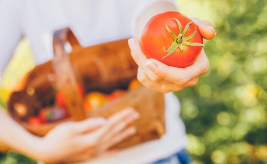 ¿Los alimentos orgánicos son más nutritivos y saludables?